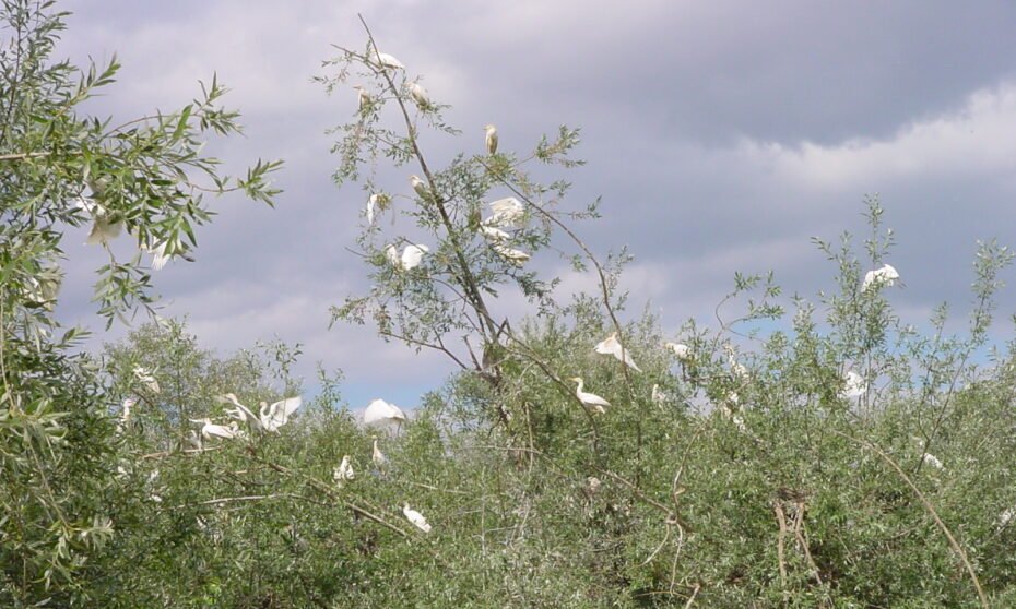 PARQUE PERIURBANO DE FUENTE AGRIA VILLAFRANCA DE CÓRDOBA {{brizy_dc_image_alt imageSrc=
