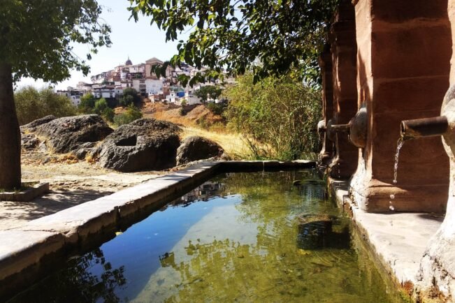 {{brizy_dc_image_alt imageSrc=