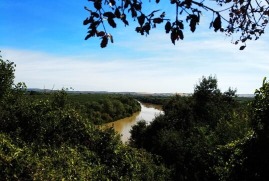 {{brizy_dc_image_alt imageSrc=