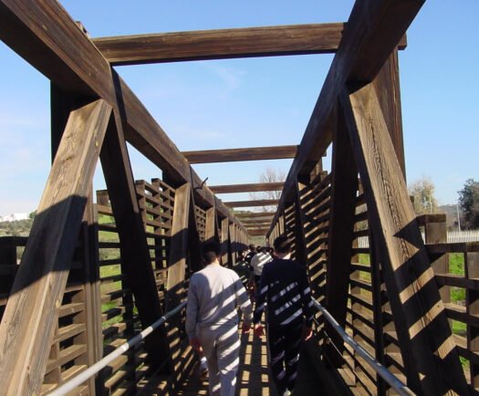 meandro guadalquivir montoro 6