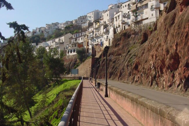 {{brizy_dc_image_alt imageSrc=