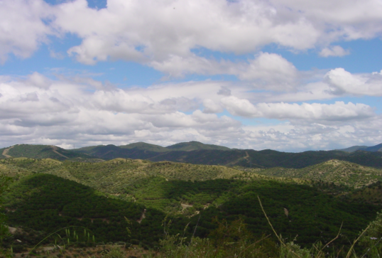 {{brizy_dc_image_alt imageSrc=